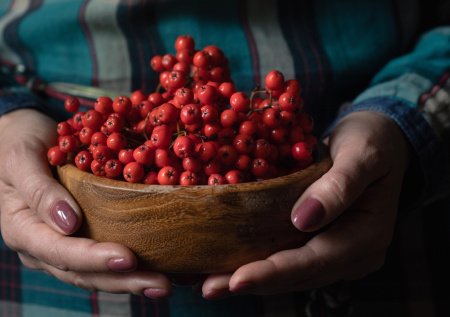 Диетолог объяснил, когда можно есть ягоды рябины