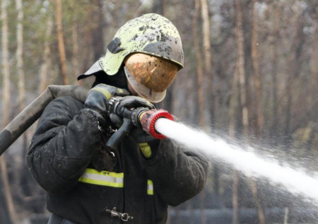 Названа причина полыхающих полей в Кузбассе