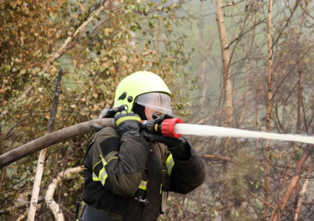 В Кемеровской области полыхают поля