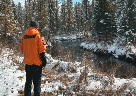 Названы возможные наследники пропавшей в тайге семьи Усольцевых