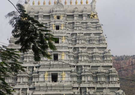 Во время давки в индийском храме погибли 10 человек