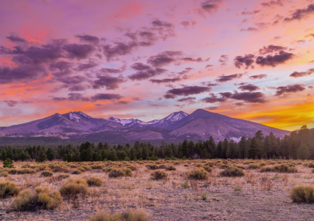 Детектив раскрыл подробности дела о 300 найденных телах в Неваде