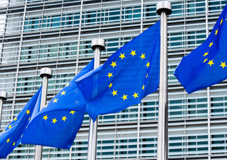 В СВОП оценили перспективы создания антиукраинского блока в ЕС