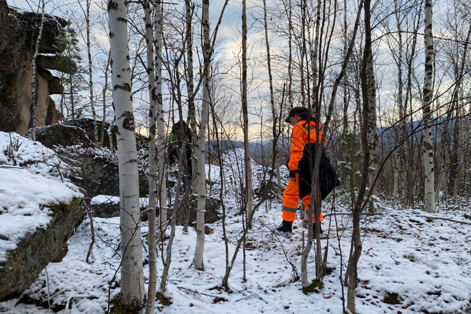 Поисковый отряд «Лиза Алерт» на месте исчезновения семьи Усольцевых
