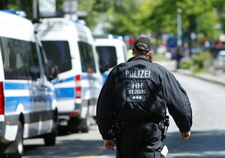 Мертвая чайка парализовала движение в крупном городе