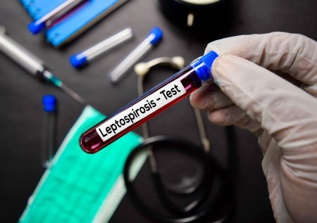 В Латвии случилась вспышка опасной инфекции