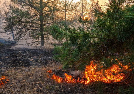 Кемеровскую область охватили природные катаклизмы