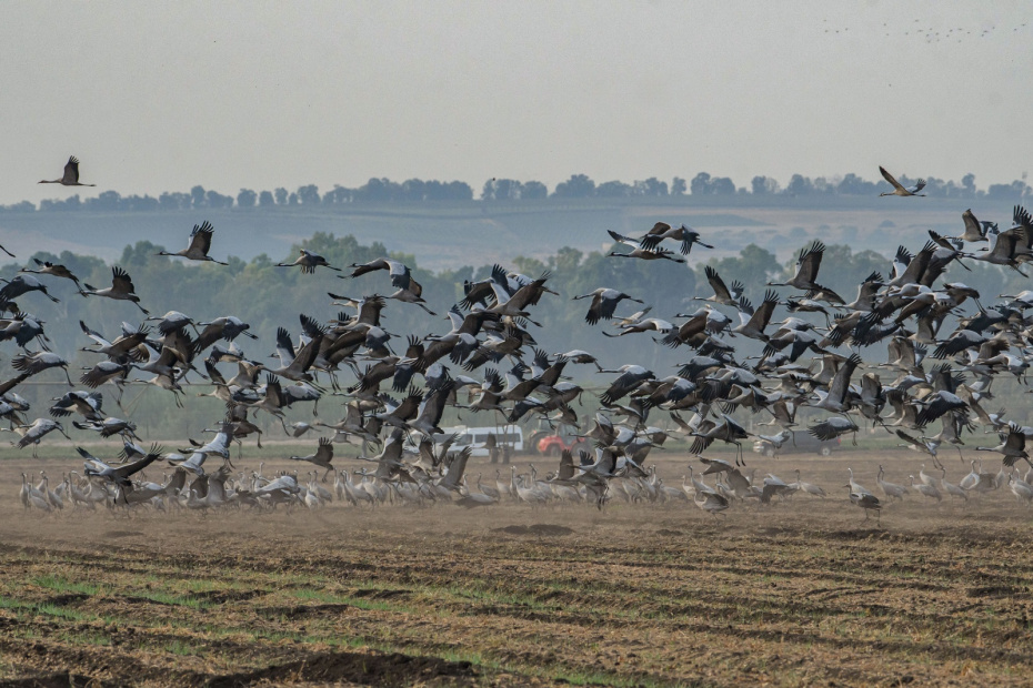 Какой будет погода по приметам 4 ноября?