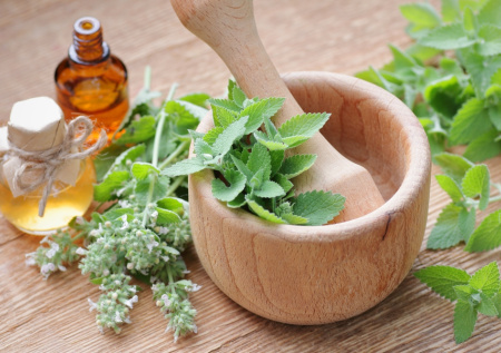 Мухи покинут дом без химии: 5 натуральных способов защиты