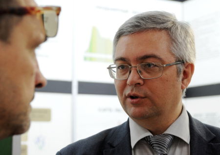 Ученые открыли новый вид вымершего гигантского медведя, обитавшего в России