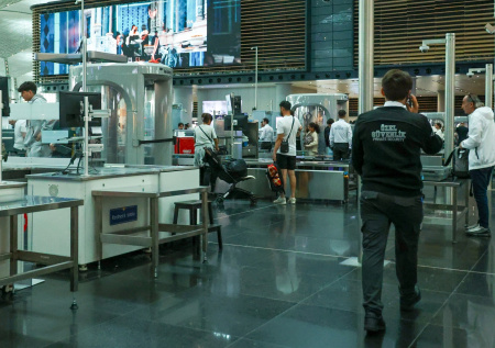 В Стамбуле сотрудники аэропорта спасли сбежавшую кошку россиянки