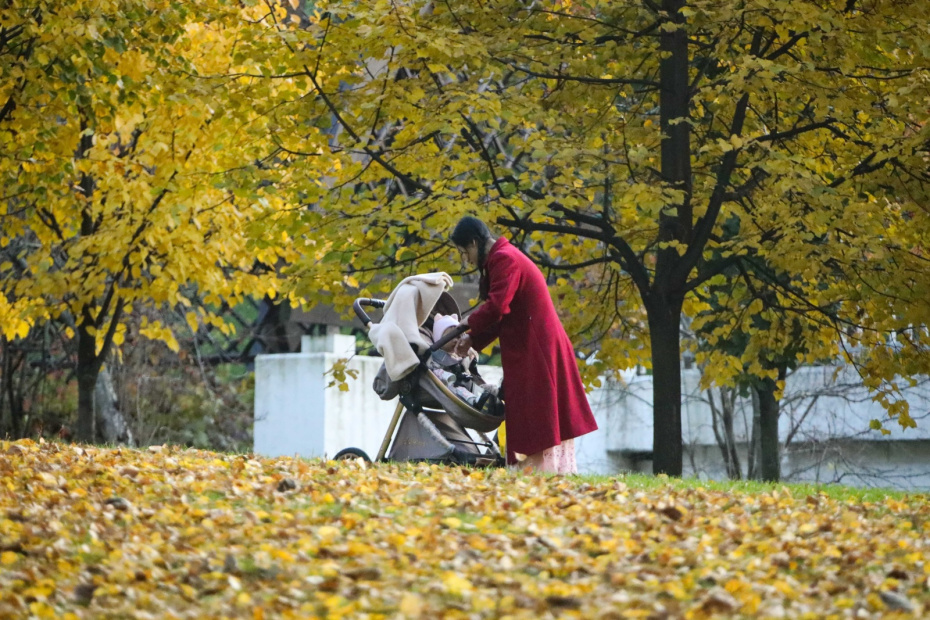 Гороскоп на 5 ноября 2025 года для всех знаков зодиака: Рыбам беречь кошелек, Козерогам избегать конфликтов