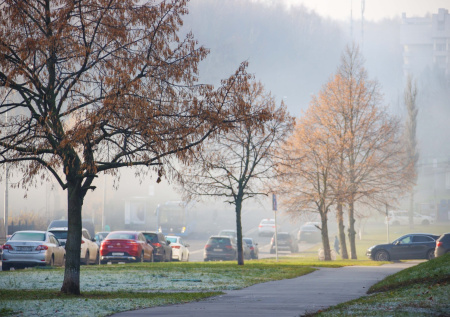 В Подмосковье зафиксированы минусовые температуры