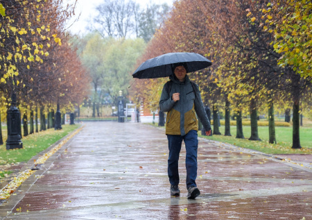 Погода в Москве в среду, 5 ноября: к вечеру ждать град и заморозки?