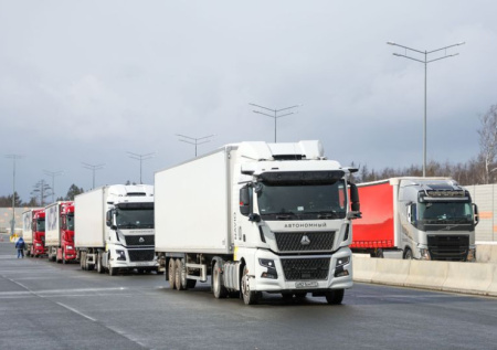 Власти Литвы ищут решение, как вернуть из Белоруссии 5 тыс. фур