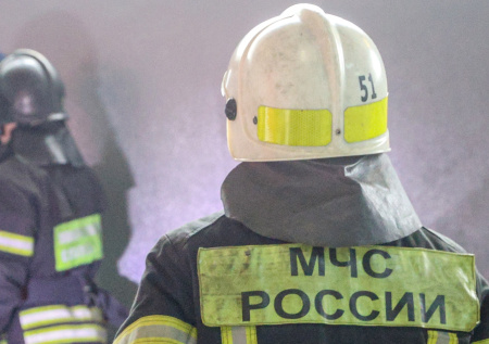 Появились кадры с места обнаружения семи заживо сгоревших людей