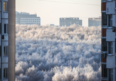 Россиянам объяснили, как постоянный мороз влияет на психику