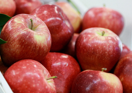 Афганские яблоки из Кандагара скоро появятся в России