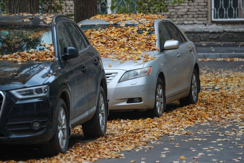 Платные и бесплатные парковки в Саратове — где можно оставить машину без проблем?