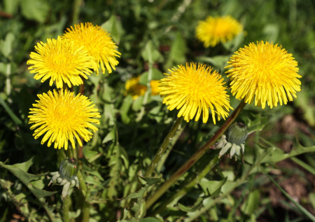 Мужчина нашел необычный способ экономии 21 тыс. рублей в месяц