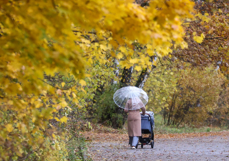 Экоэксперт рассказал, как теплая осень повлияла на природу Москвы