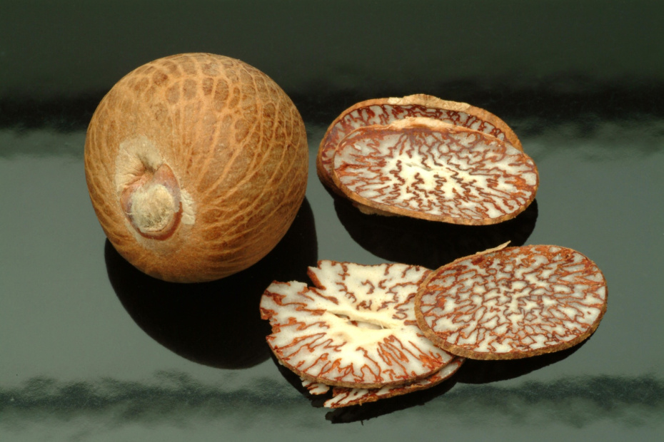 Бетельный орех