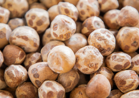 В России призвали запретить вызывающие рак «наркотические» орехи