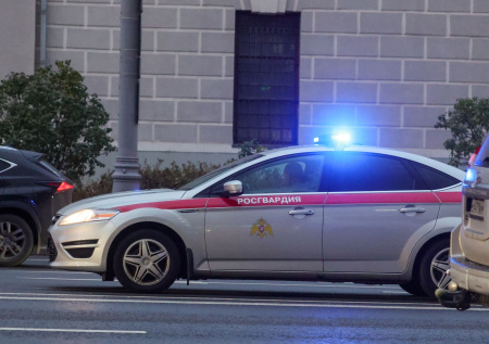 Россиянин выстрелил в пьяного дебошира, угрожавшего ему топором