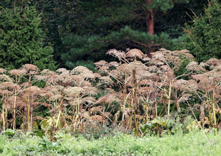 Владельцев земельных участков ждут новые штрафы