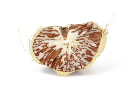 Российские школьники подсели на опасный орех из Азии