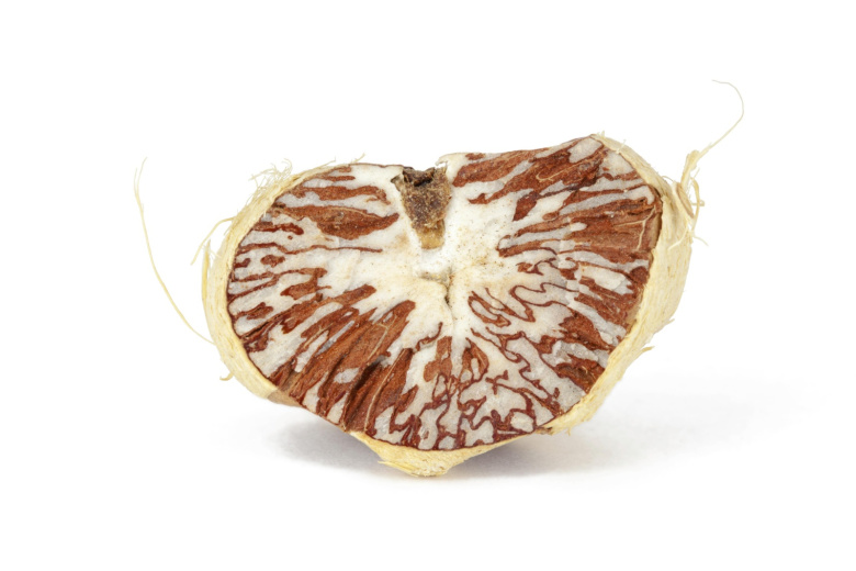 Бетельный орех