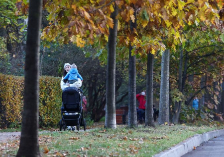 «Моя позиция неизменна»: депутат о программе материнского капитала