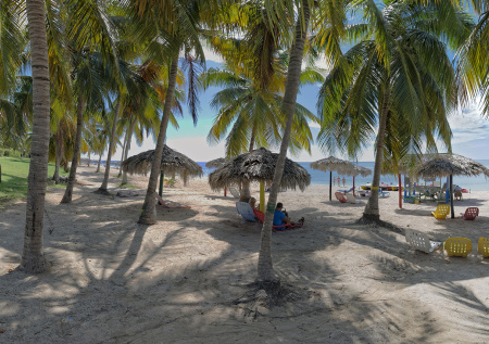 Российских туристов на Кубе покусали мухи хехены