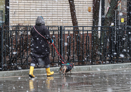 Москвичей предупредили о резком снижении температуры на восемь градусов