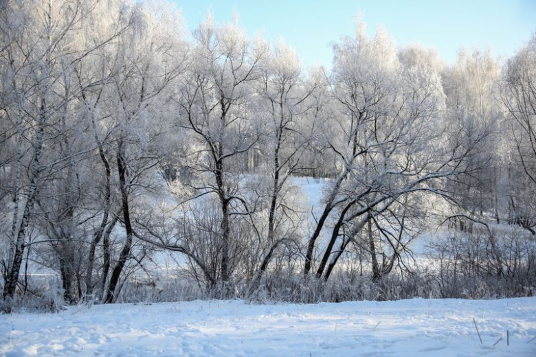 Приметы на 8 ноября