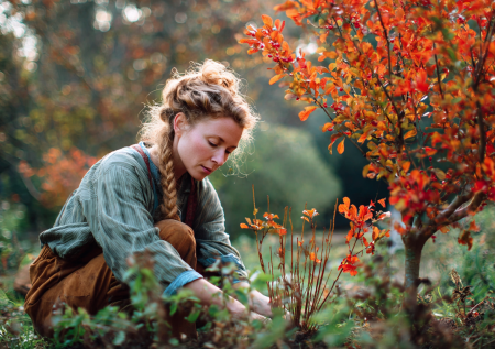 Как сажать крупномеры до морозов в регионах: дельные советы для сада и дачи
