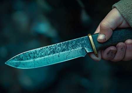 Раскрыто, сколько убийств совершили дети в России в 2025 году