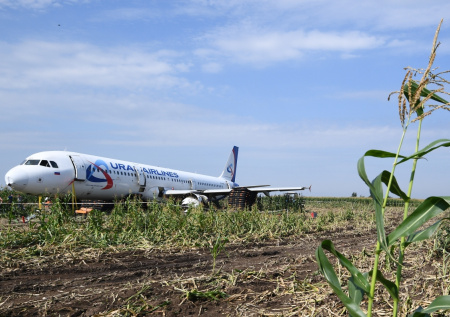 В России спустя 6 лет назвали причину жесткой посадки Airbus среди кукурузы
