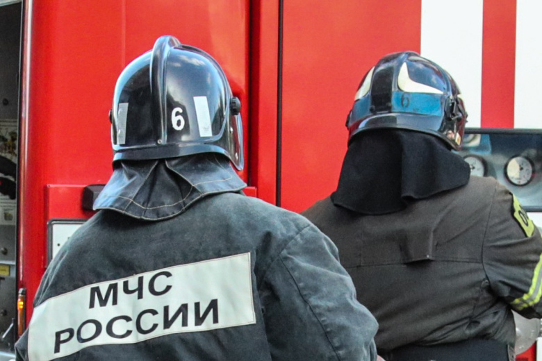 Сотрудники МЧС РФ