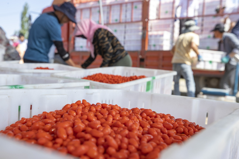 Ягоды годжи