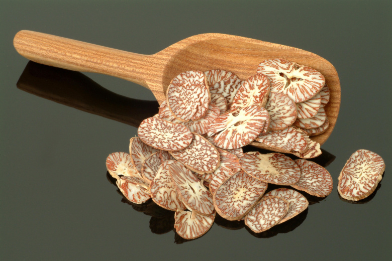 Бетельный орех