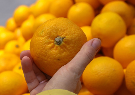 Экономист ответил, на сколько подорожают мандарины в конце декабря
