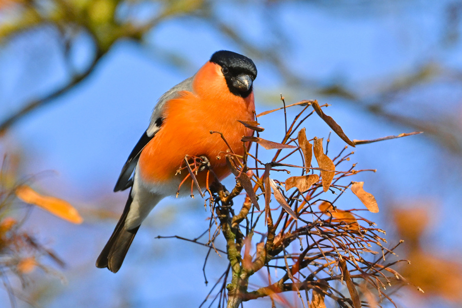 Какую погоду сулят приметы 9 ноября