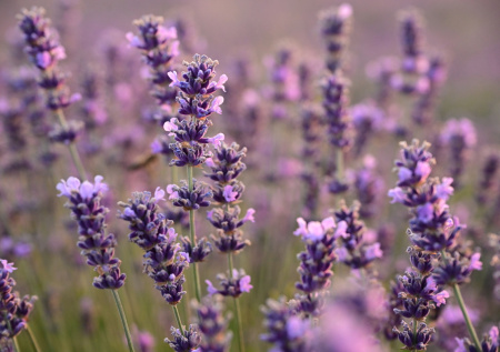 Устали от запаха на кухне? Свежесть и уют без химии — моя простая уловка!