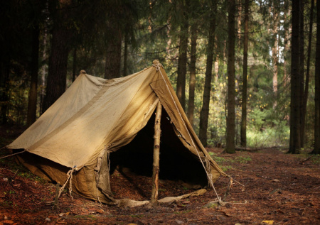 Сбежавшего с $400 тыс. полицейского поймали в лесу с палаткой и запасом еды