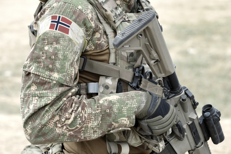 Военнослужащий армии Норвегии