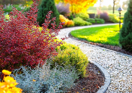 Это красавчик держится бодрячком и зимой, и осенью: обалденный многолетник выдержит -35 и превратит сад в сказку