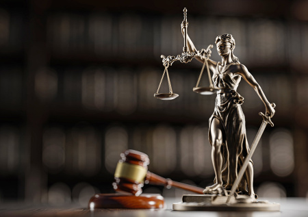 Петербуржец отсудил у заводчицы 255 тыс. рублей за больного породистого щенка