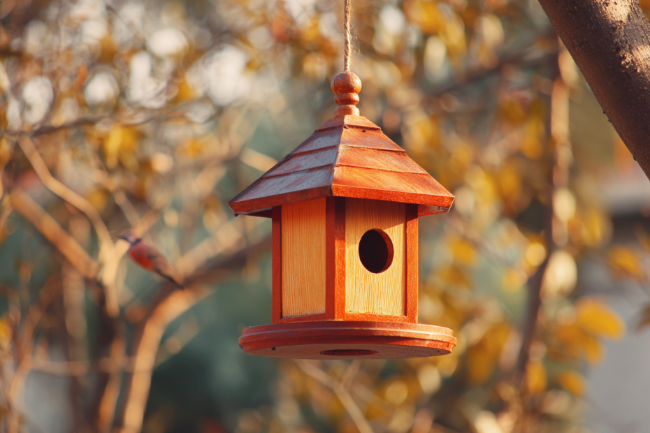 Развешивание кормушек для птиц: привлекаем пернатых в сад для борьбы с вредителями зимой