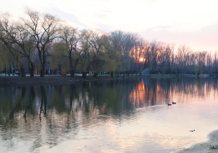 Погода в Москве в понедельник, 10 ноября: к ночи ждать трескучие морозы?